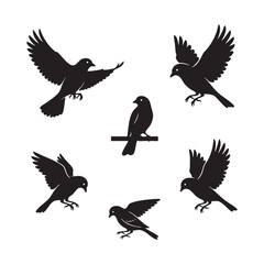 Obraz premium Set of Small Bird Silhouettes Flying and Perching Vector Illustration