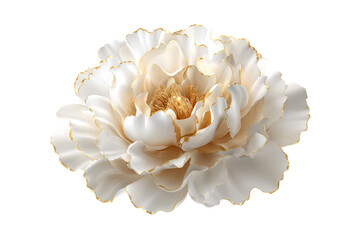 Elegant Cream and Gold Edged Flower Blooming Isolated on Transparent Background