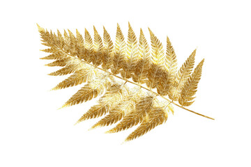 Golden Fern Leaf on Transparent Background Elegant Natural Decorative Element