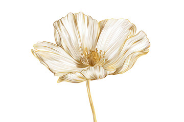 Elegant White Poppy Flower Illustration on Transparent Background for Botanical Design
