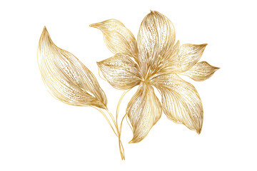 Elegant Gold Flower and Leaf Illustration on Transparent Background for Decorative and Artistic Designs