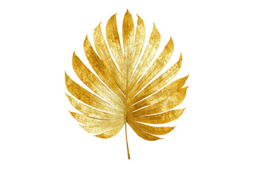 Golden Leaf on Transparent Background Elegant Decorative Natural Element for Interior Design