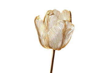 Elegant Gold and White Tulip Flower on Transparent Background for Decorative or Artistic Use