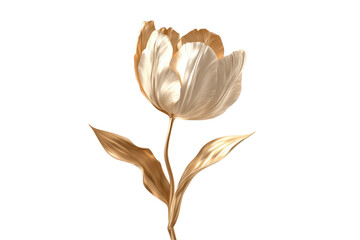 Elegant Gold-Toned Tulip Flower with Smooth Petals on Transparent Background