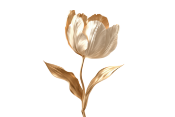 Elegant Gold-Toned Tulip Flower with Smooth Petals on Transparent Background