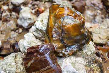 Gleaming wet flint stones, their earthy amber and reddish hues reflecting nature's raw beauty in a tranquil stream bed. A geological discovery