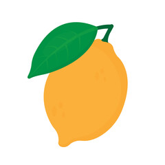 Vector of lemon is vitamin C fruit