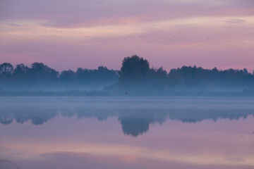 Fototapeta premium Jesienny wschó słońca we mgle, nad wodą. 