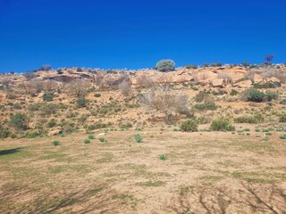 Large rocks among dry vegetation on a mountain slope a semi-desert landscape in Algeria