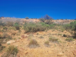 Large rocks among dry vegetation on a mountain slope a semi-desert landscape in Algeria