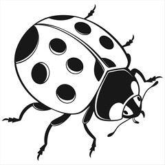 Cute Black and White Ladybug Vector Illustration - Perfect for Nature and Children's Designs