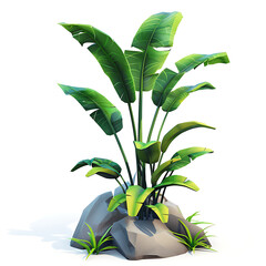 A vibrant illustration of a lush Bird of Paradise plant growing from rocks with small green shoots.