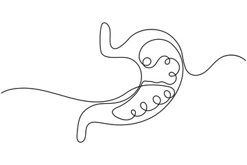 Stomach anatomy continuous one line drawing on white background minimalist digestive organ outline vector illustration