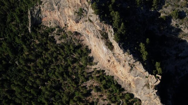 Top-down view of rocky escarpment transitioning to forested slope &mdash; Mallorca, Spain