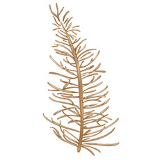 Pine branch