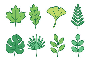 Stylized green leaves assortment including deciduous, tropical, and botanical plant shapes