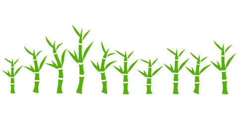 Naklejka premium Vector bamboo set. Collection of green bamboo stalks with leaves isolated on white background. vector illustration.
