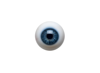 Blue Human Eyeball - Vision & Ocular Anatomy Study on white background