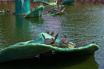The turtles in the small pond rested on the green platform.