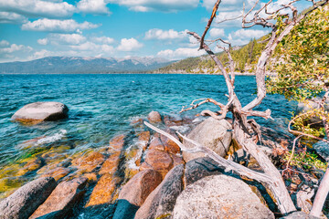 Lake Tahoe California USA view of clear turquoise water with granite rocks and pine forest along mountain shore under blue sky with clouds scenic summer landscape of Sierra Nevada nature