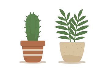 Pair of potted houseplants featuring a green cactus and a leafy succulent isolated on white background