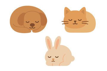 Adorable sleeping dog, cat, and rabbit domestic animals resting peacefully
