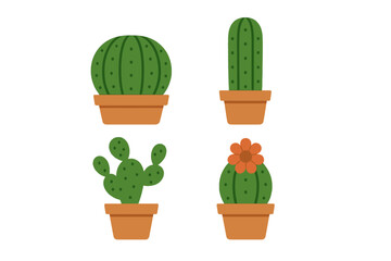 Four potted cactus plants with green bodies and brown terracotta pots isolated on white