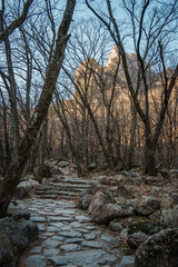 Hiking trail through forest with mountain view in Seoraksan National Park, Sokcho