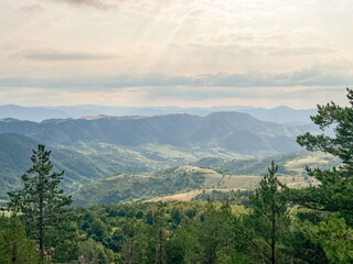Obraz premium Dense pine forest in the foreground with rolling green hills and distant mountains under a cloudy sky