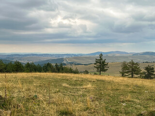 Peaceful countryside with village houses on rolling hills, natural landscape style, pine forest in foreground