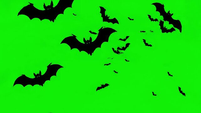 VFX Asset with halloween bats flying on green screen distortion, overlay, glitch, static noise, scan lines black background, 4k animated video loop