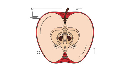 Vibrant Illustrated Apple Slice Presenting Freshness and Artistic Simplicity, Creative Design