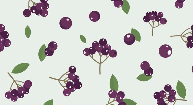 Vibrant Illustrated Elderberries: Seamless Pattern Design for Creative Purposes