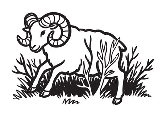 Fototapeta premium Black outline drawing of a ram with large curled horns walking among grass and bushes, featuring detailed lines and shading for a naturalistic effect.