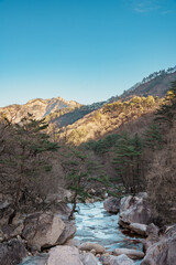 Frozen rocky stream in Seoraksan National Park, Sokcho, South Korea