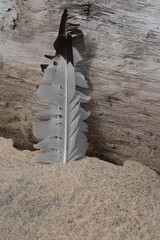 A typical bird feather stuck in the sand on the beach.