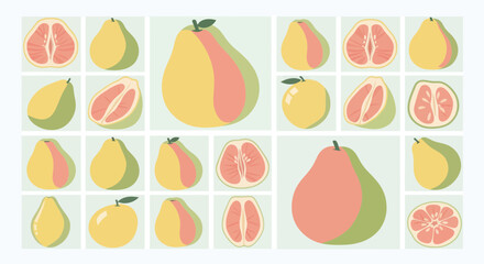 Vibrant Illustrated Pomelo Collection Showcasing Fresh Fruit Variety and Organic Design