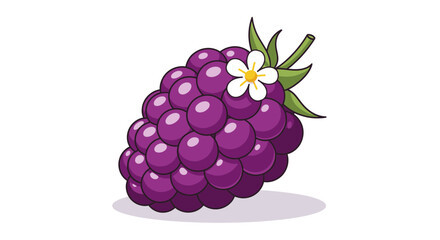Vibrant Illustration of a Fresh Blackberry Branch Depicting a Blooming Flower on White