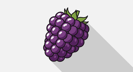 Vibrant Illustration of a Fresh Blackberry with Leaves and a Defined Shadow on White