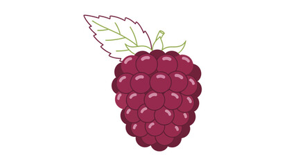 Vibrant Illustration of a Fresh Blackberry, Digitally Rendered, Isolated on White