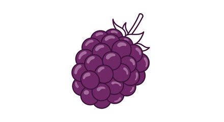 Vibrant Illustration Of A Juicy Blackberry Freshly Picked On A Clean White Backdrop