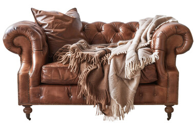 Aniline Leather Sofa