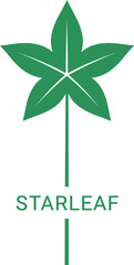 Minimalist star leaf botanical logo in vector format design vector illustration