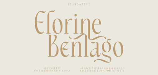 Elegant alphabet letters font and number. Classic Lettering Minimal Fashion Designs. Typography modern serif fonts decorative vintage design concept. vector illustration
