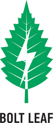Green leaf and lightning bolt design for eco energy vector illustration