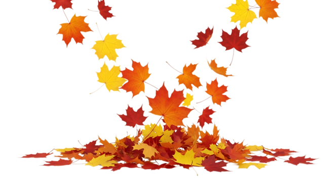 Falling autumn leaves isolated on transparent background create a seasonal scene - Powered by Adobe