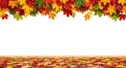 Colorful autumn leaves falling on the ground isolated on transparent background