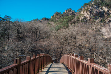 Wooden bridge and rocky stairs in Seoraksan National Park, Sokcho, South Korea