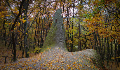The Ördögtorony beehive rock near Cserépfalu, Hungary, framed by autumn foliage. The tuff...