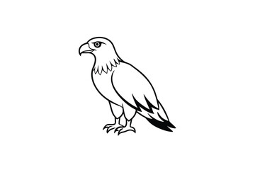Fototapeta premium harpy eagle bird line art vector